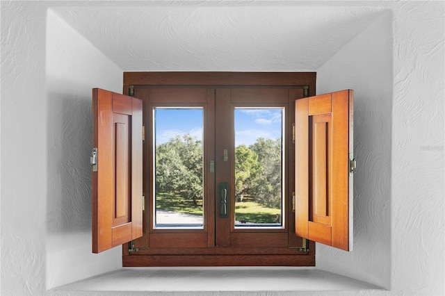 entryway featuring a wealth of natural light