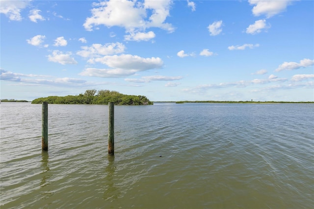 water view featuring a boat dock