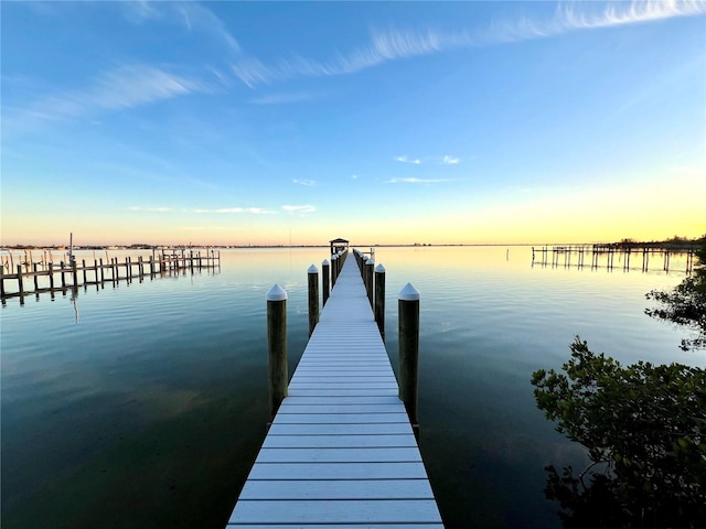 dock area featuring a water view