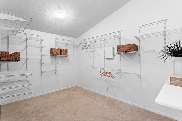 8701 Ballantrae Way, Tampa, FL 33647 - spacious closet featuring light carpet and lofted ceiling