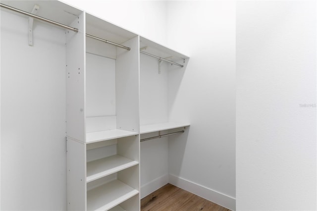 spacious closet with hardwood / wood-style flooring