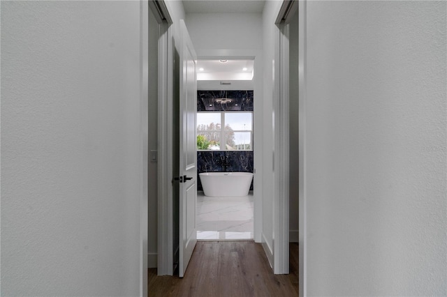 hallway with light hardwood / wood-style floors