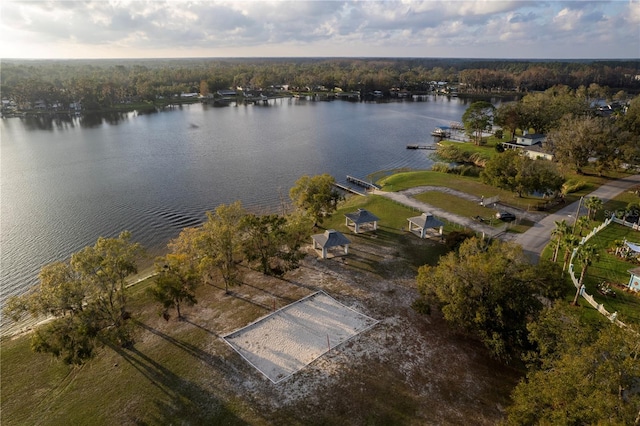 bird's eye view featuring a forest view and a water view