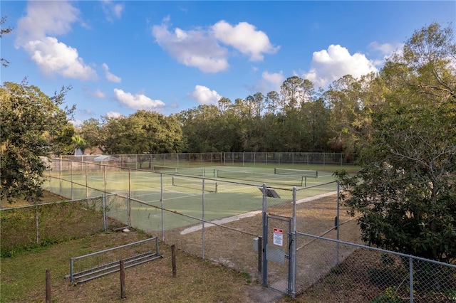 2972 Lake Saxon Dr, Land O Lakes, FL 34639 - photo 60