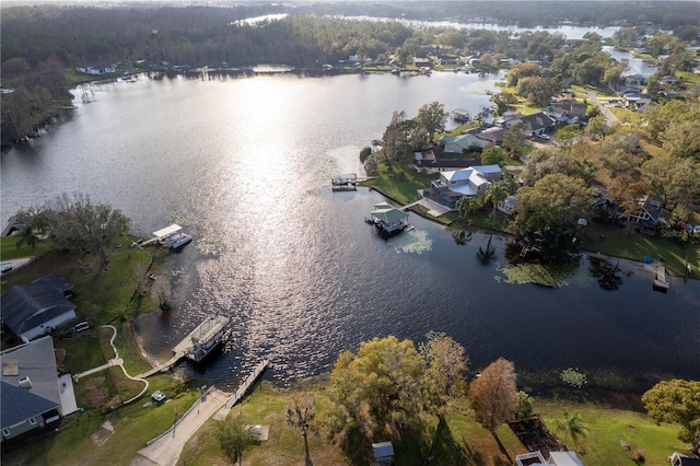 2972 Lake Saxon Dr, Land O Lakes, FL 34639 - photo 66