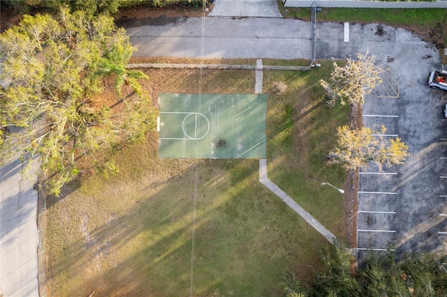 2972 Lake Saxon Dr, Land O Lakes, FL 34639 - drone / aerial view