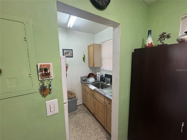 kitchen with refrigerator and sink