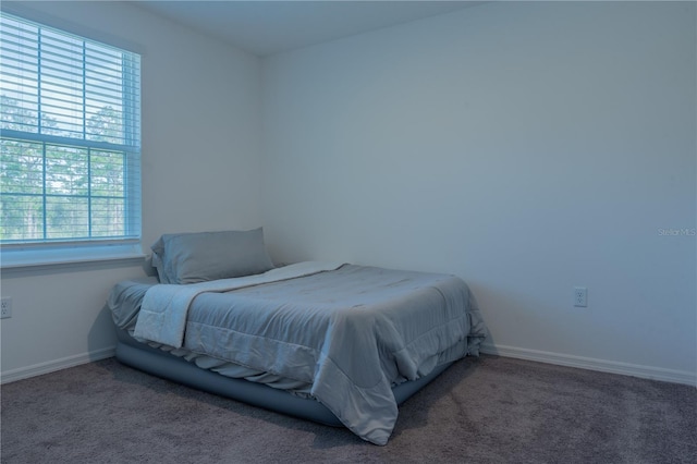 carpeted bedroom featuring multiple windows