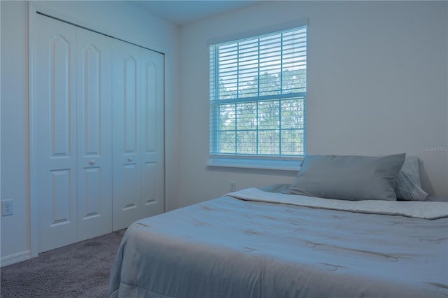 bedroom with carpet floors and a closet