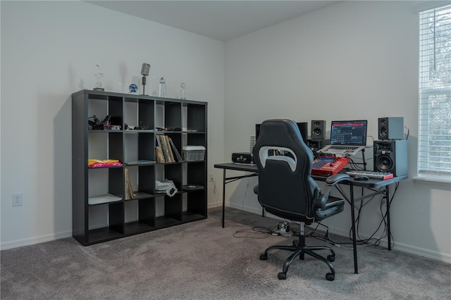 carpeted office space with a healthy amount of sunlight