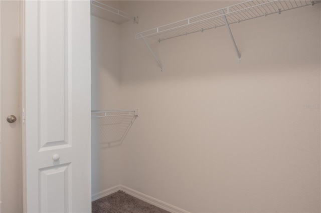 spacious closet with carpet