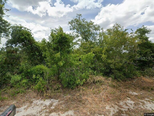 479 Coolidge Ave NE, Lake Placid FL, 33852 land for sale