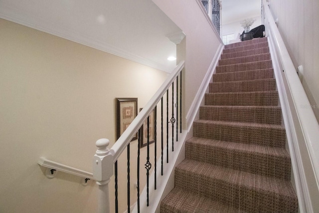 stairway with ornamental molding and carpet