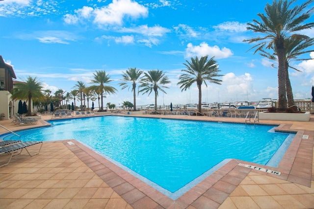 view of swimming pool with a patio area