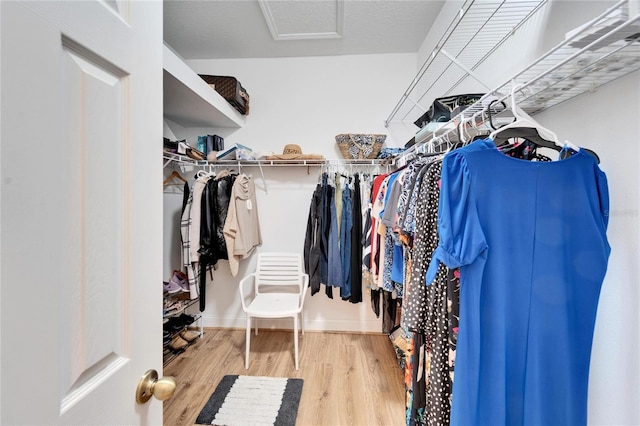 spacious closet featuring wood-type flooring