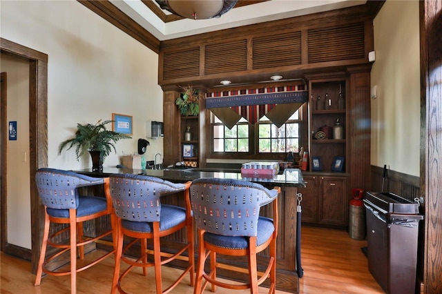 bar with ornamental molding, dark brown cabinets, and light hardwood / wood-style flooring