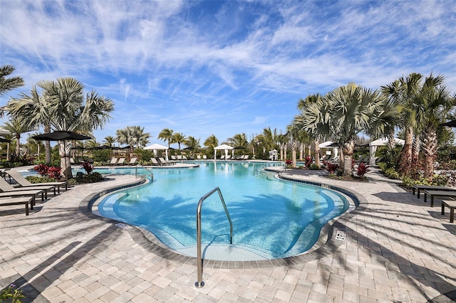 view of swimming pool with a patio