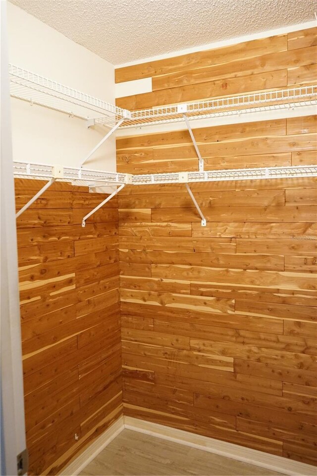 walk in closet with wood-type flooring