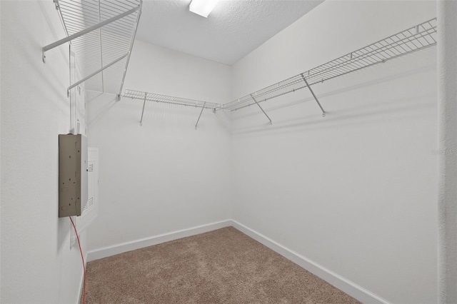 walk in closet with carpet flooring