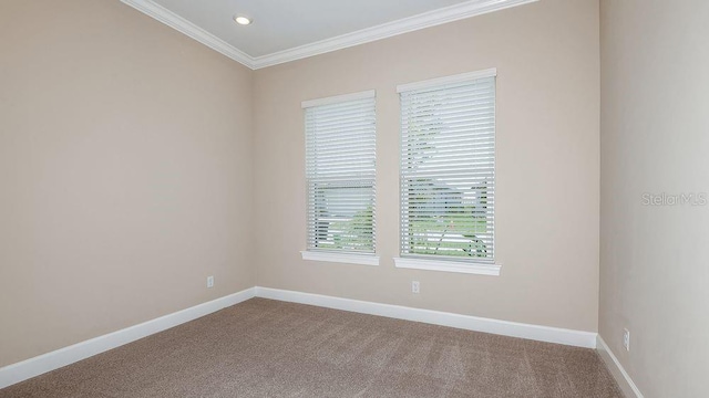 empty room featuring carpet and crown molding