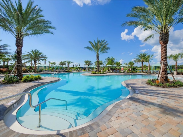 view of swimming pool