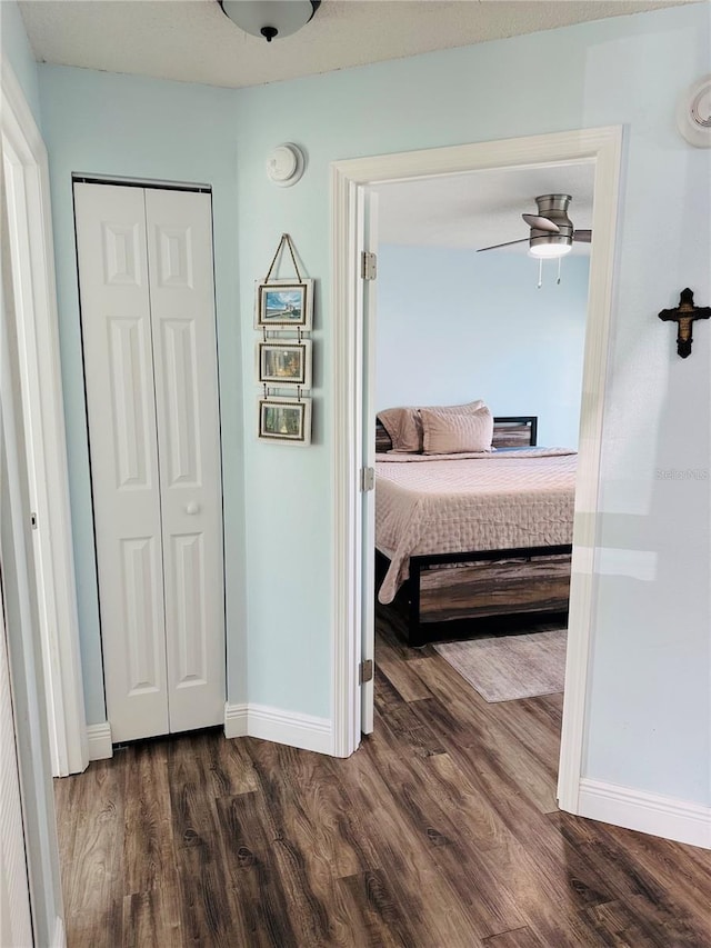 bedroom with dark hardwood / wood-style flooring and ceiling fan