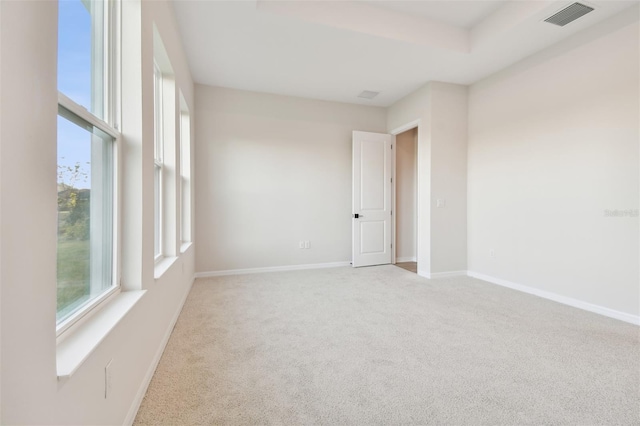 spare room featuring light colored carpet and a raised ceiling