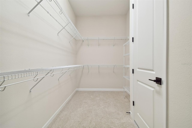 walk in closet with light colored carpet