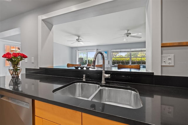 kitchen with stainless steel dishwasher, ceiling fan, and sink