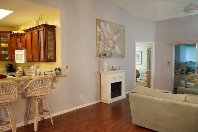 living room with dark hardwood / wood-style floors