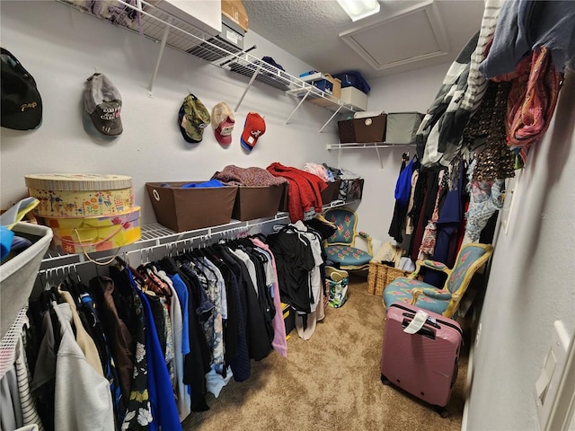 spacious closet featuring light colored carpet