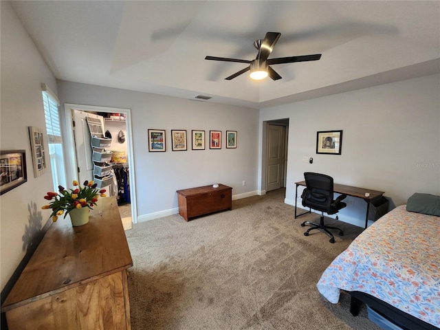 carpeted bedroom with ceiling fan, a walk in closet, a closet, and a raised ceiling