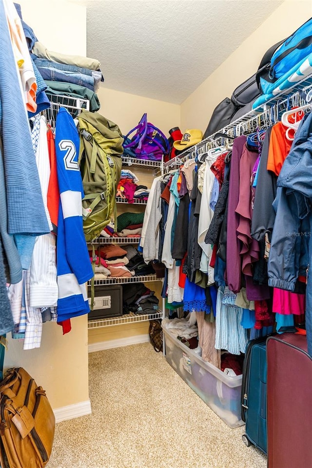 7001 Interbay Blvd Unit 313, Tampa, FL 33616 - walk in closet featuring carpet flooring