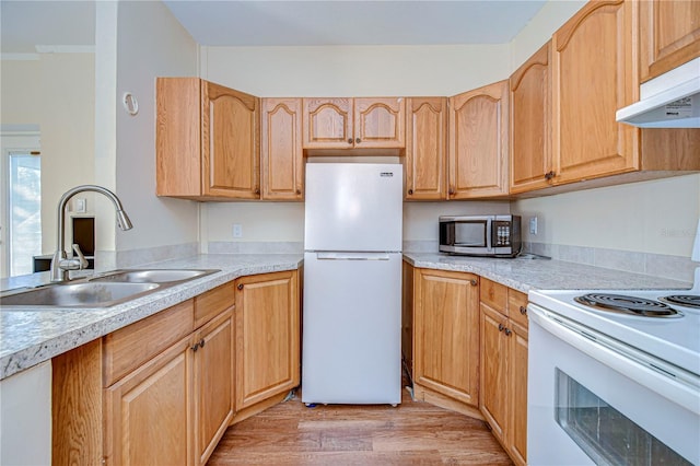 kitchen with light wood-type flooring, white appliances, and sink