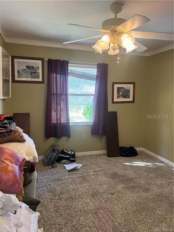 carpeted bedroom with ceiling fan and crown molding