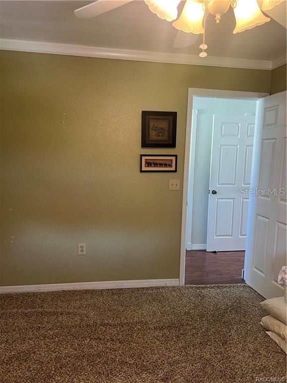 spare room with ceiling fan, carpet floors, and ornamental molding