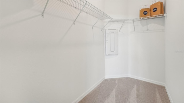 spacious closet with electric panel and carpet