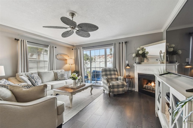 living room with crown molding, ceiling fan, dark hardwood / wood-style flooring, and a textured ceiling