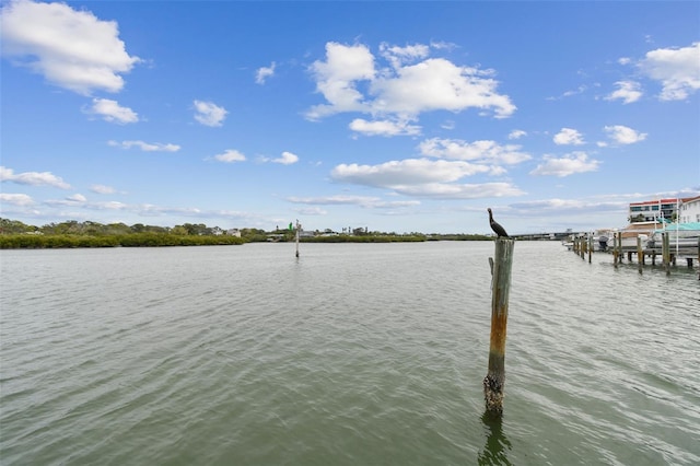 view of water feature featuring a dock