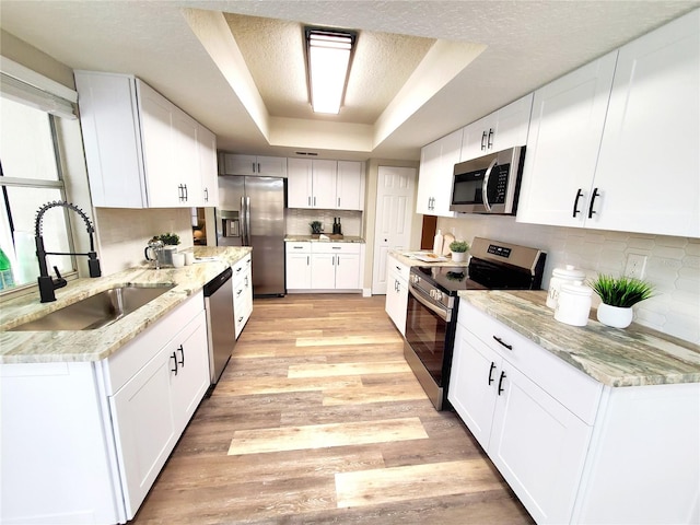 kitchen with appliances with stainless steel finishes, a sink, a tray ceiling, light wood-style floors, and backsplash