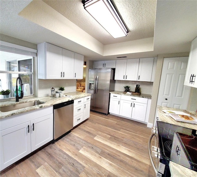 kitchen with light wood finished floors, a tray ceiling, appliances with stainless steel finishes, and a sink