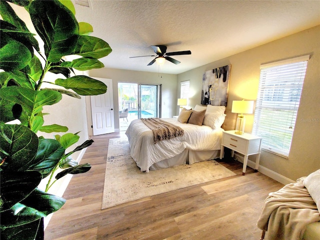 bedroom with access to exterior, multiple windows, wood finished floors, and a textured ceiling