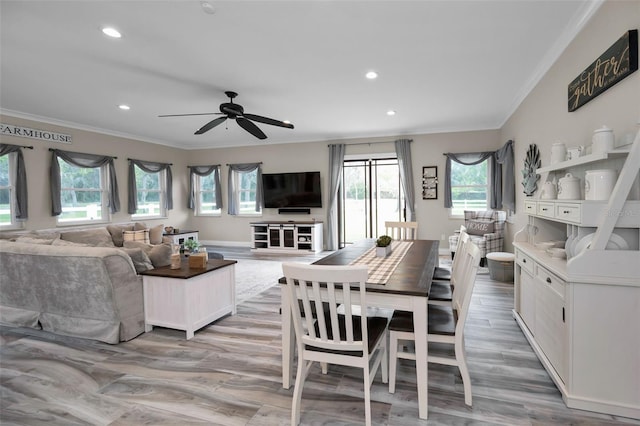 dining room with ceiling fan, crown molding, and light wood-type flooring