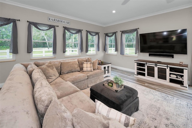 living room with a healthy amount of sunlight, hardwood / wood-style flooring, and crown molding