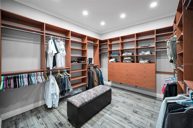 spacious closet with hardwood / wood-style flooring