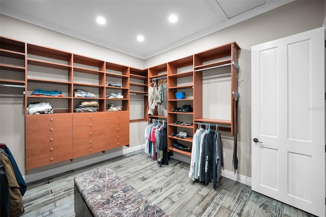 walk in closet with hardwood / wood-style floors