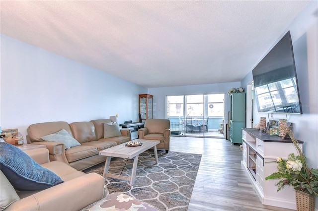 living room featuring hardwood / wood-style floors and a textured ceiling