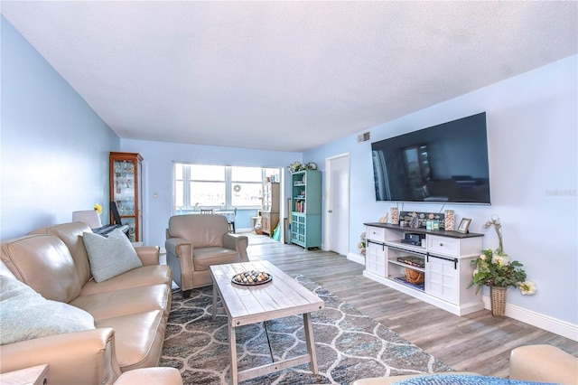 living room featuring hardwood / wood-style floors and a textured ceiling