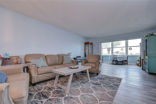 living room featuring hardwood / wood-style flooring