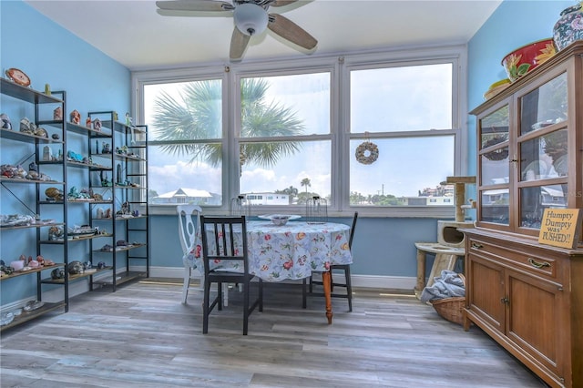 dining space featuring plenty of natural light and light hardwood / wood-style floors